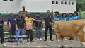 KSP Budi Artha Mandiri Bagi-Bagi Hewan Kurban Jelang <em>Idul Adha 1447 Hijriah</em>