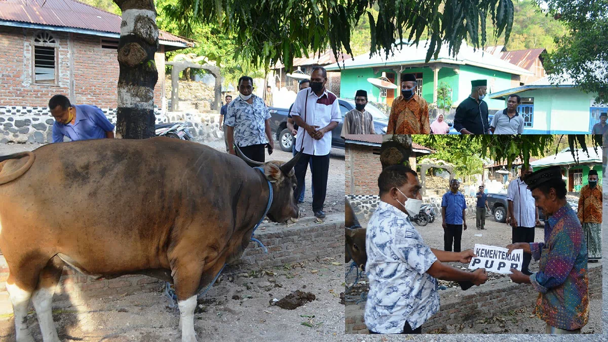 Menteri PUPR dan BPK Bantu Hewan Kurban Idul Adha di Alor