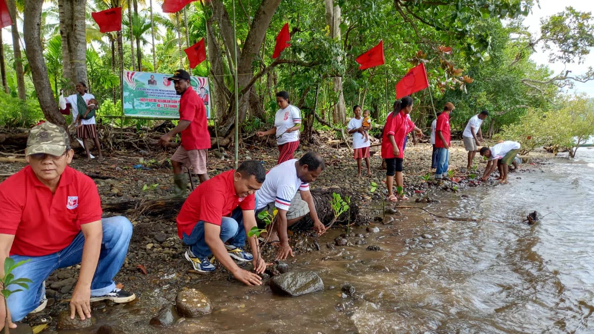 Peduli Lingkungan, PKP Alor Rayakan HUT Ke-23 Dengan Menanam Bakau