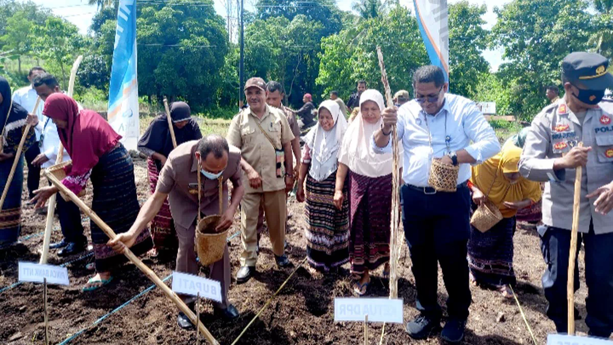 Bank NTT Bantu Petani-Nelayan Bangun Ketahanan Pangan dan Sukseskan TJPS