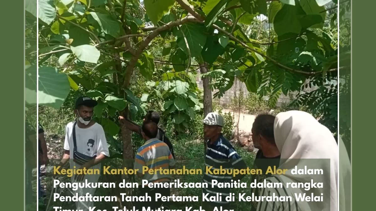 Kantah Alor Lakukan Pengukuran Untuk Pendaftaran Tanah Pertama Kali di Welai Timur