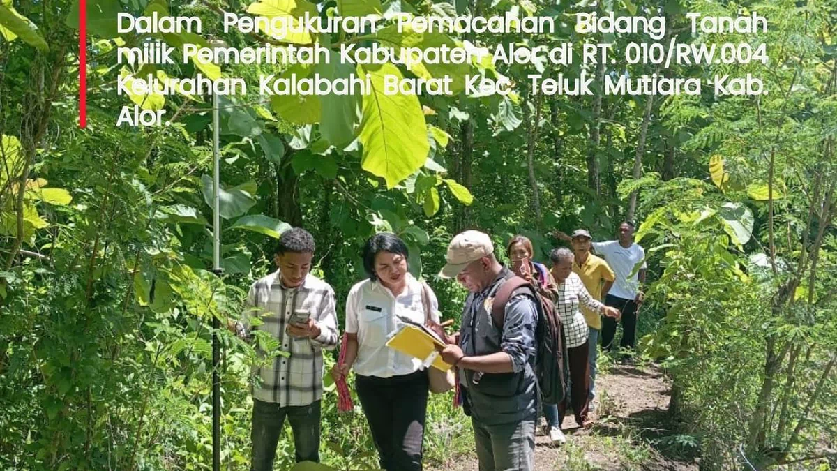 Kantah Alor Proses Pemecahan Bidang Tanah Pemkab Alor di Kalabahi Barat