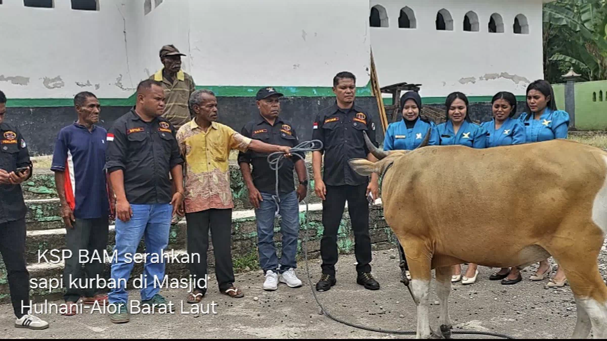 KSP Budi Artha Mandiri Bagi-Bagi Hewan Kurban Jelang <em>Idul Adha 1447 Hijriah</em>