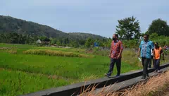 Meski Covid Menghantui, Petani Harus Tetap Berada di Sawah