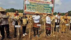 Kunker di Pantar Tengah, Bupati dan Wabup Alor Padat Kegiatan, dari Panen Jagung hingga Operasional Puskesmas Aramaba