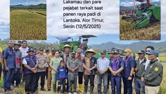 Sawah Lantoka Harus Jadi Lumbung Padi Bagi Alor, Rasyid Sebut Kendala Yang Dihadapi