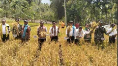 Kiat Pemkab Alor Meningkatkan Produksi Pangan Lokal
